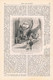 Delcampe - A102 1154 Wien Ausstellung Theater Und Musik Hoftheater Artikel / Bilder 1892 !! - Theater & Dans