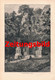 Delcampe - A102 1185 Mozart 100 Jahre Salzburg Zauberflötenhäuschen Artikel / Bilder 1892 !! - Música