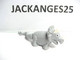 KINDER MPG UN 07 A DINOSAURE TRICERATOPS ANIMAUX NATURE NATOONS TIERE 2010 + BPZ A NATURE - Famiglie