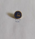 Israel Swimming Association Federation UNION  PIN A8/10 - Natation