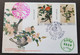 Taiwan Silk Tapestry Museum 1992 Bird Ancient Painting Birds Flower (FDC) *Boy Scout Postmark *Rare - Brieven En Documenten