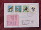 Japan 2019 Cover To Germany Returned - Birds Stork Olympic Games - Lettres & Documents