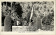 Australia, SA, ADELAIDE, Waterfall Gully (1950s) Murray Views RPPC Postcard - Adelaide