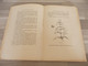 Antiek Boek Onze Lievelingen DE PLANTEN Door P. Monplaisir Vertaald Door Frans Van Cuyck - Antique