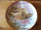 ASSIETTE Décorative  LE CHAT  DANS SON PANIER édition Limitée N° G 9220  Signé Janey Matthew "BUNDLE OF JOY " - Teller