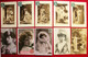 Lot 136 Cartes Postales 1904-1909 Artistes Et Vedettes Même Famille Larose éditeur Reutlinger Paris Franco Port/Europe - Artistes