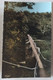 AIGREFEUILLE Sur MAINE . 44 . Passerelle Sur La Maine . Rare . 1970 - Aigrefeuille-sur-Maine