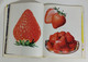 Delcampe - I106770 V - Super-Real Illustrations By Masao Saito - Beaux-Arts