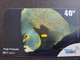 Delcampe - ST MARTIN  OUTREMER TELECOM/ SERIE 4 CARDS   TROPICAL FISH 20FF,2X 40FF, 80FF.  ANTF OT68-OT 71 ** 10213 ** - Antillen (Frans)