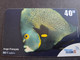 Delcampe - ST MARTIN  OUTREMER TELECOM/ SERIE 4 CARDS   TROPICAL FISH 20FF,2X 40FF, 80FF.  ANTF OT68-OT 71 ** 10213 ** - Antille (Francesi)