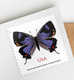 US 2021, Colorado Hairstreak Butterfly 99c, Sheet Of 20 Stamps, Scott # 5568, LUXE MNH** - Fogli Completi