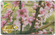 Bhutan - BMobile - Butterfly On Tree (Big Logo Issue) - GSM Refill 500Nu, Used - Bhutan