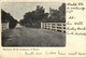 Australia, SA, HENLEY BEACH, Village In Flood, Reedbeds (1906) Postcard - Andere & Zonder Classificatie