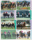 LOT De 14 Cartes JAPON - ANIMAL - CHEVAL - RACING HORSE JAPAN JRA Cards  - PFERD - 439 - Pferde