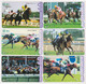 LOT De 14 Cartes JAPON - ANIMAL - CHEVAL - RACING HORSE JAPAN JRA Cards  - PFERD - 439 - Cavalli