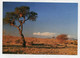 AK 062991 NAMIBIA - Abendstimmung Im Namib-Naukluft-Park - Namibia