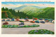 N270  Parking Space Atop Newfound Gap Highway, Great Smoky Mountains National Park- 45741 -Asheville, Old Cars - USA National Parks