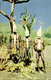 Australia, NT, Native Aboriginals Dressed For Corroboree In Arnhem Land Postcard - Aborigènes