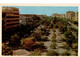 3. - CACERES.  Pasco De Cànovas.  ETAT NEUF.  Voir SCANS Recto-verso - Cáceres