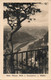 SACHS SCHWEIZ BLICK - BASTEIFELSEN  WEHLEN - REAL PHOTO - F.P. - STORIA POSTALE - Bastei (sächs. Schweiz)