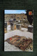 VOLUBILIS - Mosaïques De La Maison De Vénus - Other & Unclassified