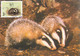 Macau, Macao, Maximum Cards, (53), Fauna Regional Em Extinção 1988 - Maximum Cards