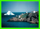 ST JOHN'S, NEWFOUNDLAND - ICEBERG OFF FORT AMHERST AT ENTRANCE OF THE HARBOUR - GIFFORD'S WHOLESALE - - St. John's