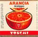 014232 "VIGNOLA  (MO) - DISTILLERIE TOSCHI & C. - ARANCIA SCIROPPO" ETICHETTA IV QUARTO XX SEC. - Fruits & Vegetables