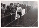 Lot De 2 Photographies JAC - Cross Delaune - Bois De Vincennes - Femmes Sportives - 31 Décembre 1944 - 18x13cm - Sport