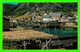 PETTY HARBOUR, NEWFOUNDLAND - HARVEST OF COD FISH -  TOOTON'S LTD - - Other & Unclassified