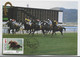 MACAO CARTE MAXIMUM CHEVAL HORSE MACAU 15.II.1990 - Maximumkarten