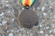 Delcampe - Médaille Belgique Commémorative De 1914 1918 - Belgio