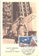 Delcampe - Cosmonautes 8 Juin 1963 8 Cartes - Andere & Zonder Classificatie