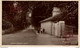 Upper Bognor Road. RPPC. Reino Unido // U.K. - Bognor Regis