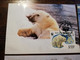 RUSSIA/ USSR  / 4 MAXIMUM CARDS POLAR BEERS   WWF  1987       ** BRIEF 194** - Tarjetas Máxima