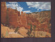 ETATS UNIS BRYCE CANYON - Bryce Canyon