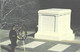 USA:Virginia, Arlington, Tomb Of The Unknown Soldier - Arlington