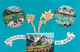 Souvenir Des Alpes - Multivues - Photo Montage Avec Edelweiss Et Paysages Alpins - Souvenirs Artistiques Gérard - Souvenir De...