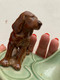 Delcampe - Wade Chien Sur Socle Par Wade Porcelaine Made In England Chien Brun Chiot Cocker?? Wade Angleterre Année Cc 50 Vintage - Animals