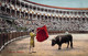 CPA Colorisée- Corrida De Toros - Pase De Muleta - Toreador - Arêne - Taureau - Corridas