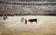 CPA Colorisée- Corrida De Toros - Suerte De Capa - Toreador - Arêne - Taureau - Corrida