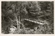 TRIEBTAL - BRUCKE AN DER LORELEY - REAL PHOTO - F.P. - Vogtland