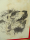 *JOLI ANCIEN DESSIN CRAYON Signé BONCHARISEAU Tête De LION RUGISSANT Sous Verre  E - Dessins