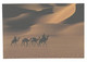 Niger:Desert View With Camels - Niger