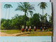 Lot  6 China  Postcard 1974 A 222 - China