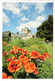 Cawdor Castle, Nairn -Poppies - Nairnshire