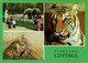 ! DDR Ansichtskarte Tierpark Cottbus, Elefanten, Elephants, Tiger, Zoo - Tigers