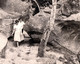 3 Grandes Photos Originales Petite Promenade Et Randonnée Pour Jolies Jeunes Femmes Entre Rochers De Forêts 1950/60. - Pin-ups