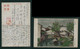 JAPAN WWII Military Jiangwan Picture Postcard Central China 15th Division Chine WW2 Japon Gippone - 1932-45 Manciuria (Manciukuo)