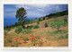 AK 067060 SPAIN - El Hierro - Landschaft Im Süden - Hierro